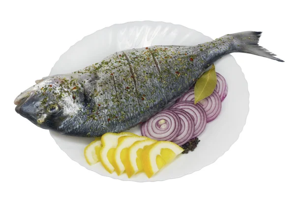 Poisson-mérou de mer (dauphin) préparé pour rôtir — Photo