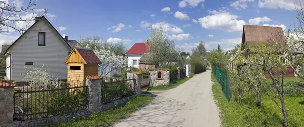 Printemps des arbres fruitiers en fleurs — Photo