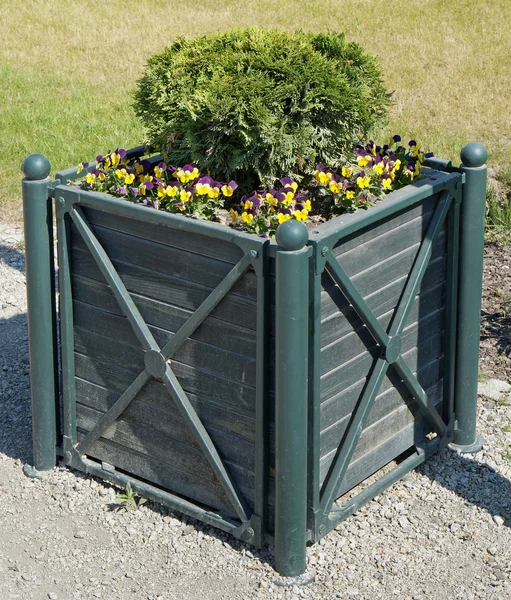 Vaso da fiori di legno verde — Foto Stock