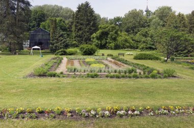 Pansies ve egzotik bitki yatak