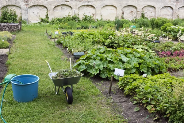 Fragment of an ideal European summer garden — Stock Photo, Image