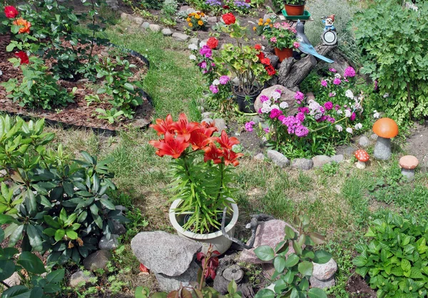 Fragmento de un pequeño lecho de flores — Foto de Stock