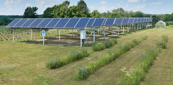 Panneaux solaires modernes dans le village de lavande — Photo