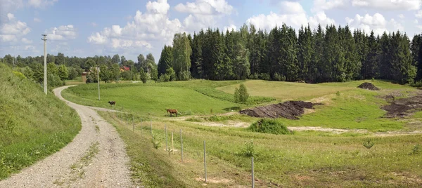 Road to the village panoramic summer landscape — Stock Photo, Image