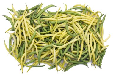 kuşkonmaz silikon haricot