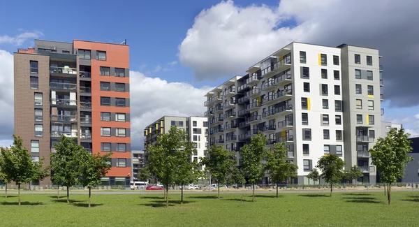 Junge Eichen wachsen in der Nähe von Häusern — Stockfoto