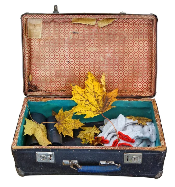 Старый Чемодан Волокна Осенними Листьями Клена Изолированы — стоковое фото