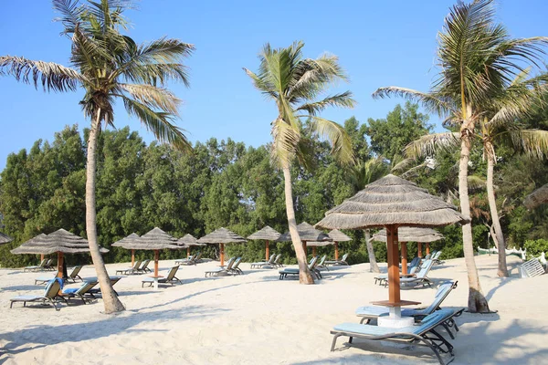 Öffentlicher Leerer Strand Mit Liegestühlen Meer — Stockfoto