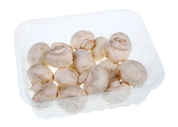 Hela Färska Champignon Champinjoner Blå Plastbehållare Isolerad Vit Studio Makro — Stockfoto