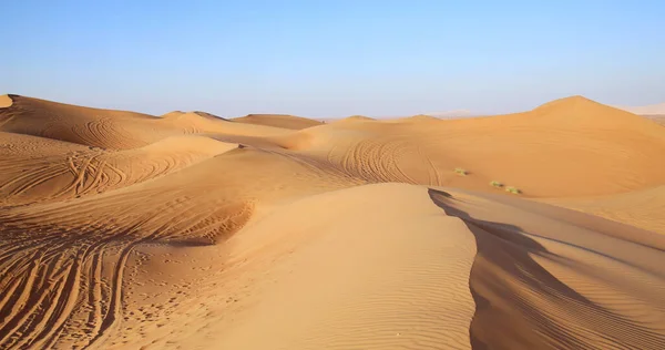 Paisagem Matinal Deserto Arenoso — Fotografia de Stock