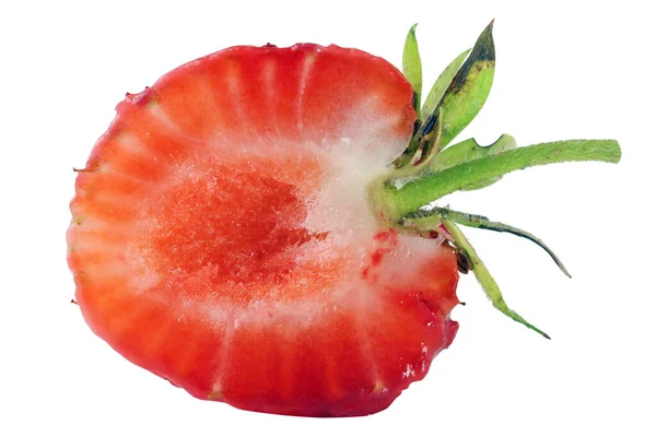 Połowa Czerwonych Owoców Truskawek Leży Białym Stole Makro Studyjne Izolowane — Zdjęcie stockowe