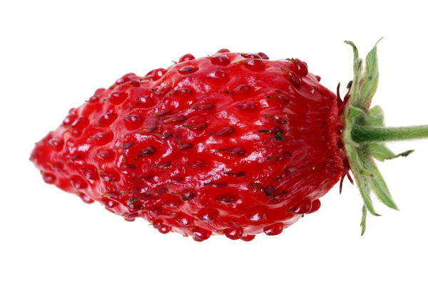 Waldrote Erdbeeren Liegen Auf Weißem Tisch Studio Makro Isoliert Auf — Stockfoto