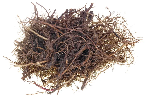 Roots Garden Weeds Plants Isolated White Studio Macro Shot — Stock Photo, Image