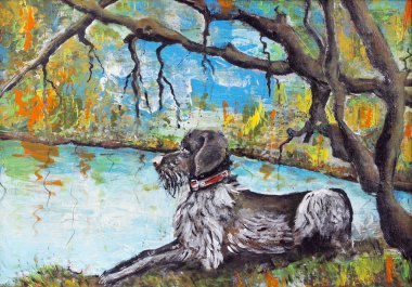 almanca wirehaired ibre 