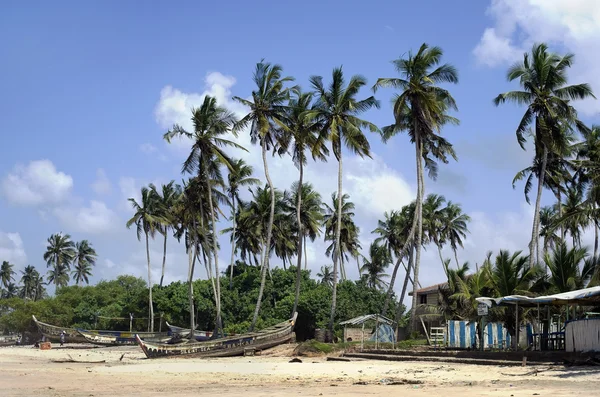 Moře africké vesnice písek obloha a dlaně — Stock fotografie