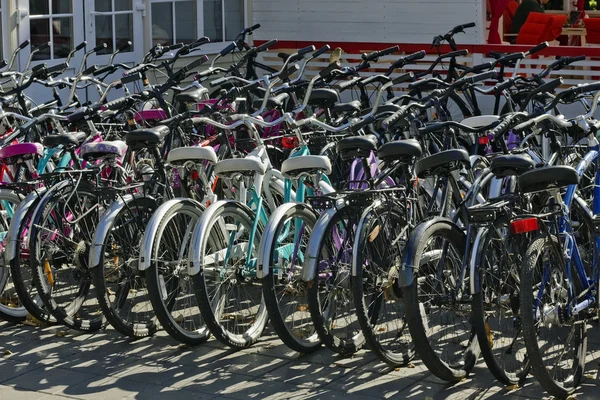 Aluguer de bicicletas no parque da cidade — Fotografia de Stock