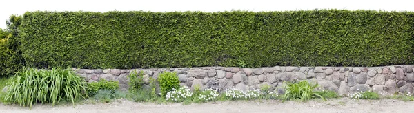 Very long green fence — Stock Photo, Image