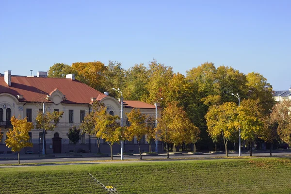 Altın maples şehir — Stok fotoğraf