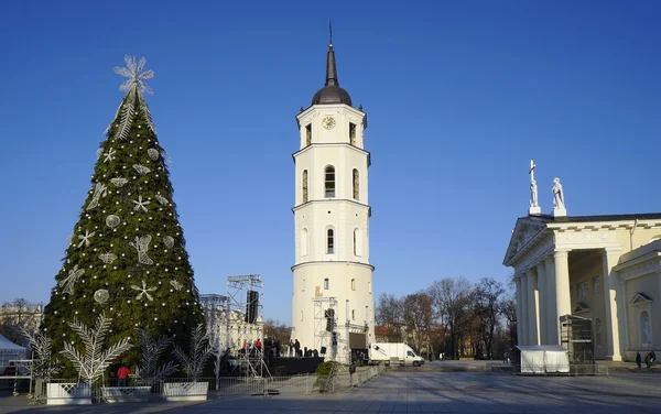 Beredning av fir-julgran — Stockfoto