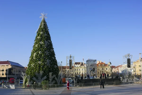 Preparation of the Christmas fir-tree — Stock Photo, Image