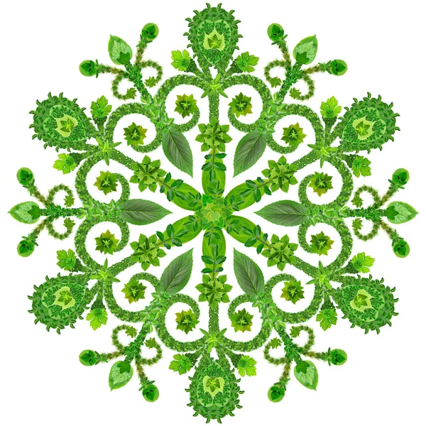 Snowflake from  green summer flowers — Stock Photo, Image