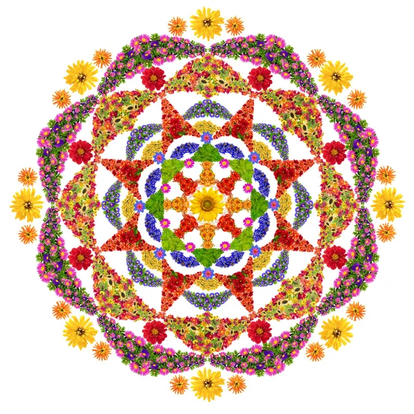 İzole çiçek mutluluk mandala — Stok fotoğraf