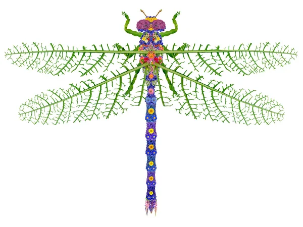 Blommig dragonfly isolerade — Stockfoto