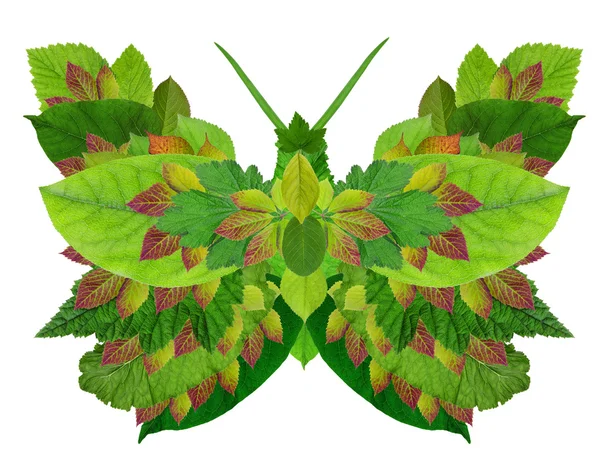 Зеленая био-бабочка — стоковое фото