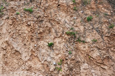 Ölmek üzere olan dünya gezegen