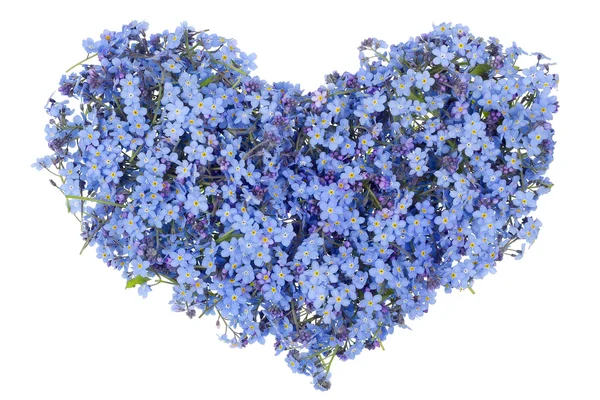 Blue heart of the gentle guy — Stock Photo, Image