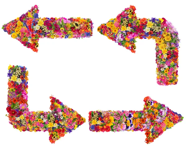 Floral arrows set — Stock Photo, Image