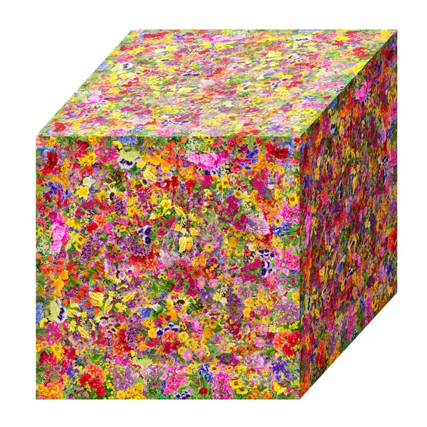 Concepto de cubo de verano — Foto de Stock
