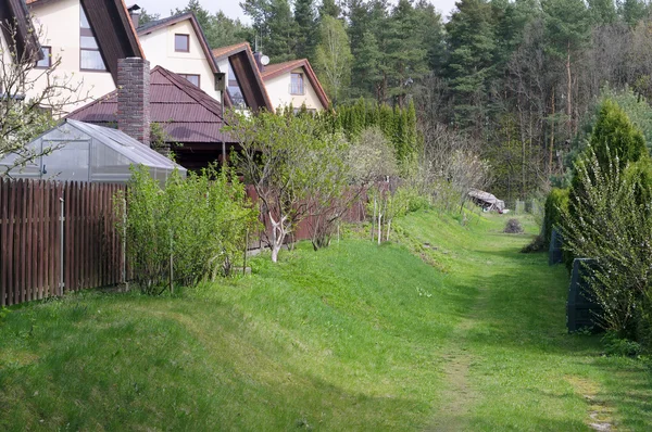 Grüne Straße des Dorfes — Stockfoto