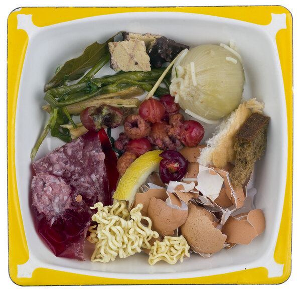 Food waste and scraps