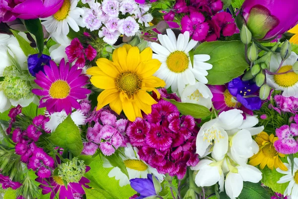 Blumen Chaos Sommer Collage — Stockfoto