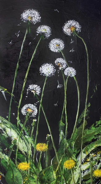 June dandelions are danced at night — Stock Photo, Image