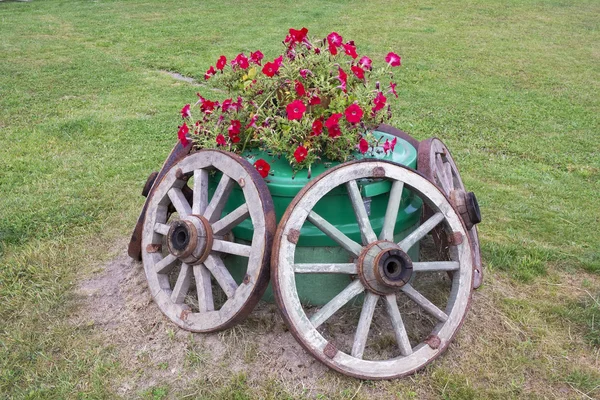 Cama de flores de estilo rústico — Foto de Stock