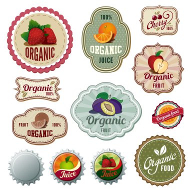 Organik taze meyve Vintage etiket tasarım vektör şablonları