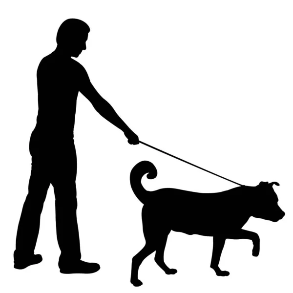 Silhouette Man Walking Dog — Stock Vector