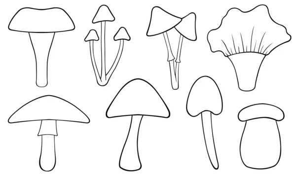 Set Different Mushrooms Isolated White — Stock Vector