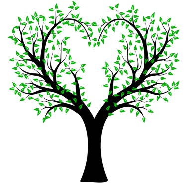 kalp şeklinde yapraklı ağaç