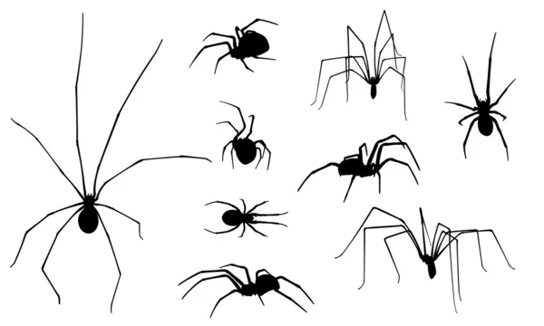 Spindlar Royaltyfria illustrationer