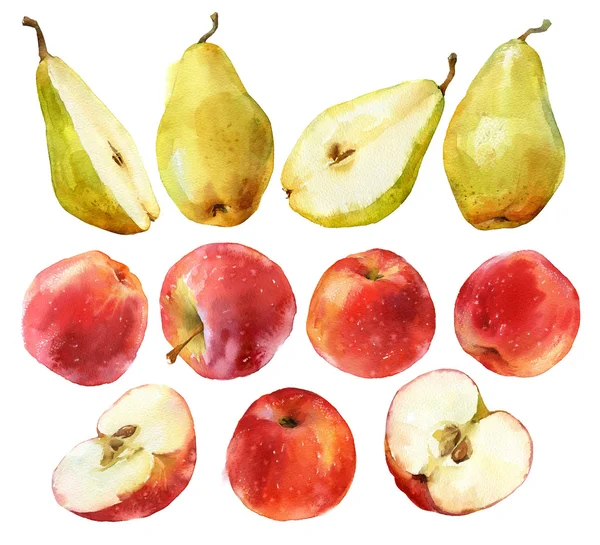 Pintura acuarela de manzanas y peras — Foto de Stock