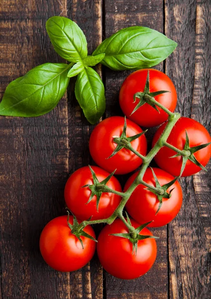 Fresh tomatoes with basil on wooden board — Stock Photo, Image