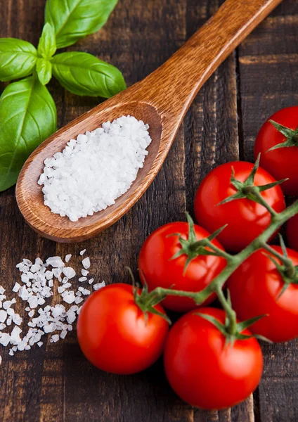 Fresh tomatoes with basil and spoon with salt on grunge board — Stock Photo, Image