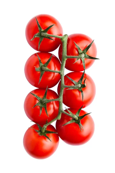 Świeże pomidory organicznych na białym tle — Zdjęcie stockowe