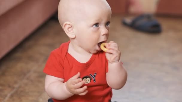 Schattige babyjongen eten kind koekje — Stockvideo