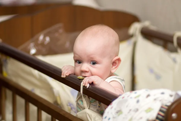 Niño pequeño 4 meses maravillas de la vida — Foto de Stock