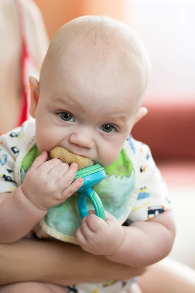 Niño pequeño 4 meses maravillas de la vida — Foto de Stock