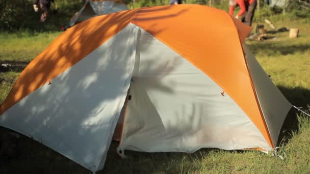 Man de tent openen, zien op bos met glimlach en sluit tent — Stockvideo